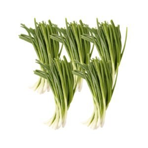 Органски млади црни лук 4+1  веза гратис