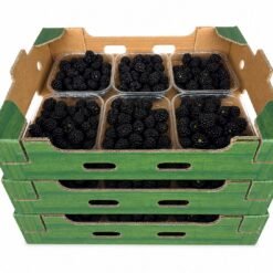 Органске купине 2250г